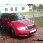 запчасти  Skoda Superb 1.9 TDi 2004г 