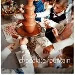 Шоколадный фонтан Луцк