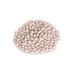 Закупка квасолі на переробку та консервування