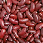 Продаж сортової квасолі гуртовими партіями