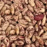 Широкий асортимент високоякісної квасолі оптом