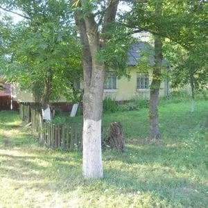 Продам  затишнй будинок в с. Крупа  в передмісті Луцька за 500 м ліс  ( власник)