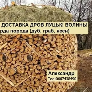 Продам дрова метровий кругляк,  рубанi (твердих порiд) оптом Луцьк