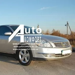 Лобовое стекло на Nissan Teana J31 (Седан) (2003-2008),  Samsung SM5/SM