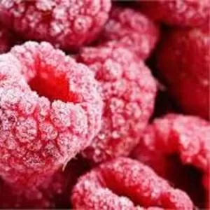 Переборщики-сортировщики замороженых фруктов в Польше