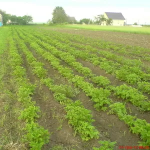 Земельна ділянка під забудову (від ВЛАСНИКА)