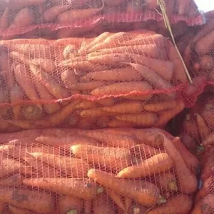 Морковка  оптом 2-го сорта