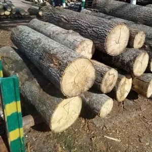 Купуєм дрова осики 2м