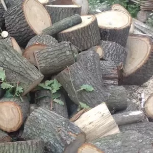 Купити дубові дрова чурки Луцьк