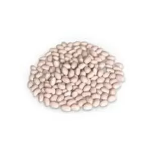 Закупка квасолі на переробку та консервування