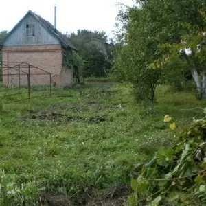 Продаю дачну ділянку з будинком (Промінь)