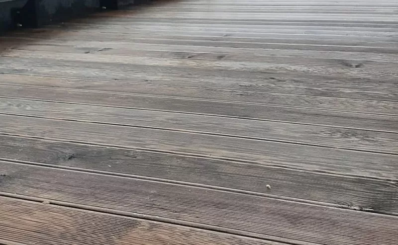 Термодошка, термососна, термоясен, термовільха, термодерево 3