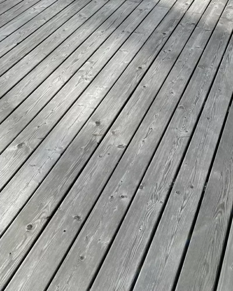 Термодошка, термососна, термоясен, термовільха, термодерево 2