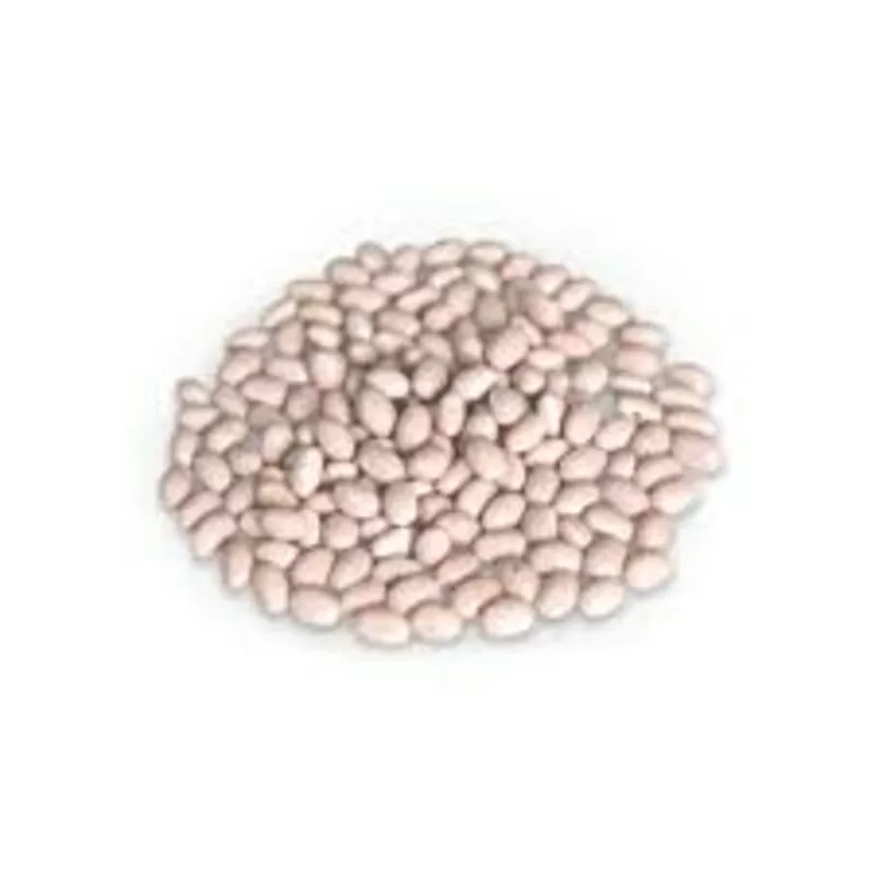 Закупка квасолі на переробку та консервування